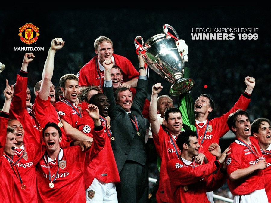 体育运动的 体育运动的